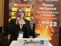 On the implementation of the Russian Stainless Company project